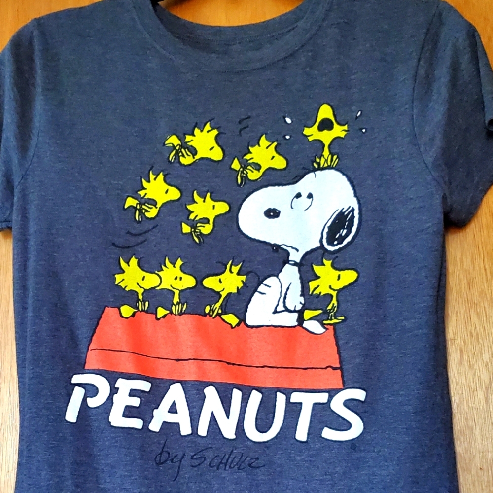 Peanuts Snoopy Woodstock tee shirt. Juniors 11-13.